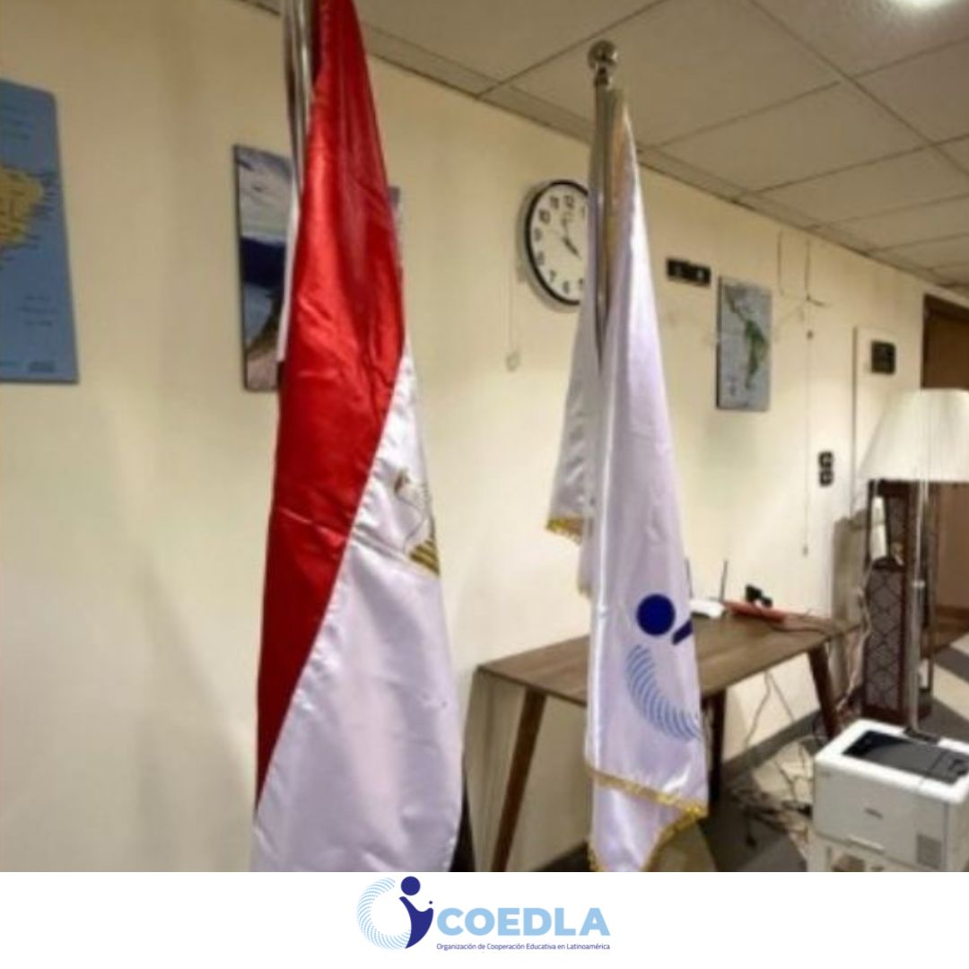 التقرير السنوي للتنسيق 2025 – القاهرة (المقر الرئيسي)
